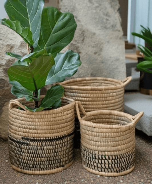 Planter basket